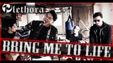 Bring Me To Life - Evanescence | PLETHORA (cover)