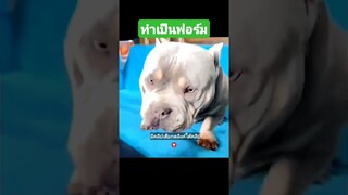 ทำเป็นฟอร์ม