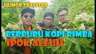 BERBURU KOPI RIMBA (Ipok Aleuh)