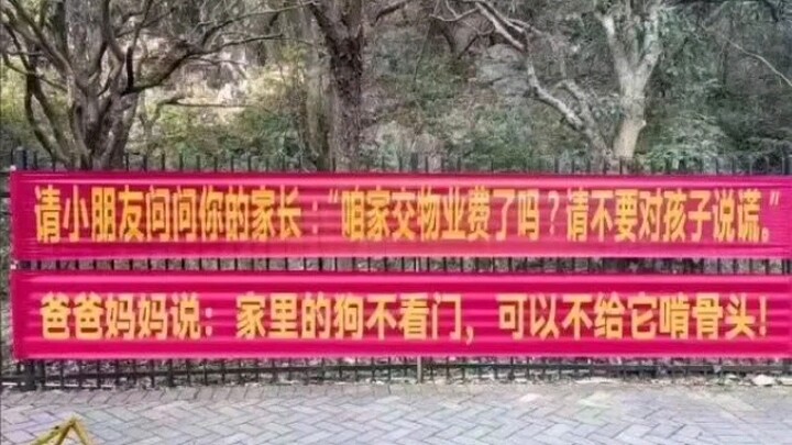 Con hỏi bố mẹ: “Rõ ràng là chó nhà nuôi, sao chó lại cảm thấy chính nó mới là lý do có được ngôi nhà