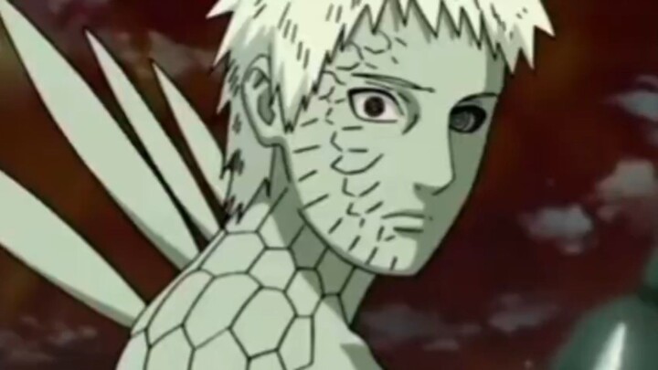 Obito merana