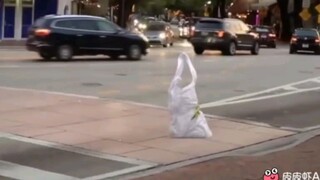 This could be a thinking plastic bag.