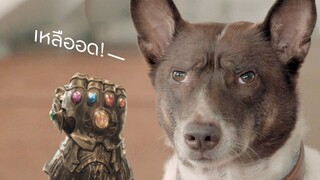 GlutaStory - เมื่อลั่มนอส หมดความอดทน ! #AvengersEndgame
