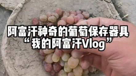 Datanglah ke Li Hao dan makan satu