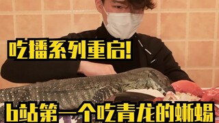 【人不如蜥】b站第一个吃青龙虾的蜥蜴！