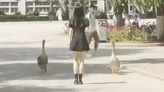 “还真TM全是名场面...”