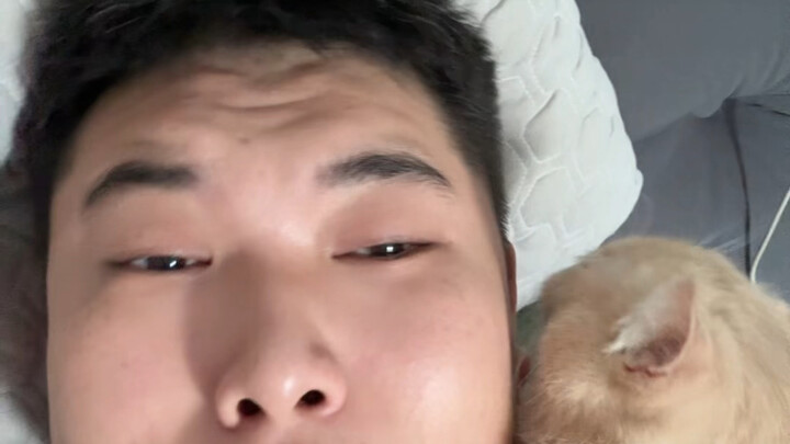 Mèo Quỷ Dâm Tặc