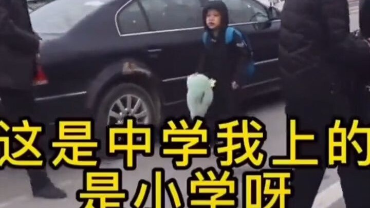 أب يوصل ابنه الذي في الابتدائية إلى بوابة المدرسة الثانوية