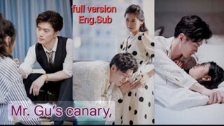 [Full version Eng.Sub]                      "Mr. Gu's canary,"