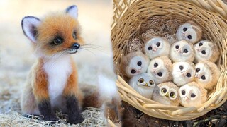 Cute baby animals Videos Compilation cute moment of the animals - Cutest Animals #14