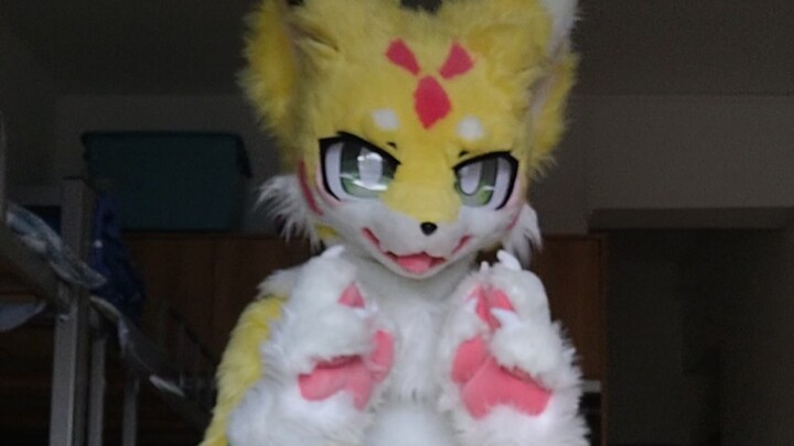 在宿舍第一次出全装的粥狸狸（bu）