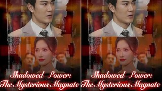 Shadowed Power: The Mysterious Magnate