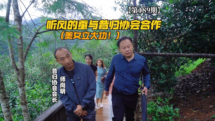 [Episode 189] The Silkworm Who Hears the Wind Teams Up with the Xigui Association—Beauty Scores a Ma