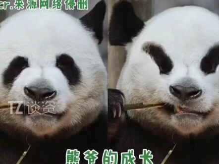 ยังดีที่ธรรมชาติมีทางเลือกของตัวเอง