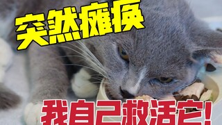 战友送的小猫突然瘫痪 我用一己之力把它救活！