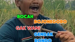 Ra wani rondo pindah🤣