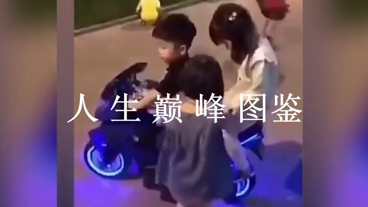 دليل قمم الحياة