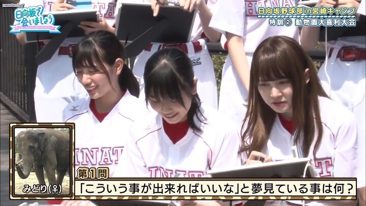 #29 Hinatazaka de Aimashou | Miyazaki Baseball Camp Part 2 (Eng Sub)