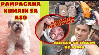 PAMPAGANA KUMAIN SA ASO + PAGLULUTO NG BULALO SA ILALIM NG PUNO