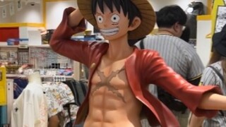 Tantang Ichiban Prize One Piece EX Black Beard Case di Jepang! Menangkan hadiah besar berturut-turut