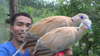 Thêm 4 Thành Viên Mới - 3 Thành Viên Bỏ Nhà Đi - Quà Gửi Các Bạn 7 Ân