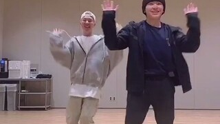 210419 SEVENTEEN 权顺荣HOSHI 李知勋WOOZI 🕺🏻🕺🏻#sidebyside 零站