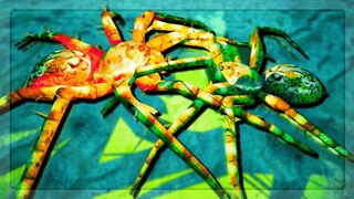 TITAN Beach Wolf Spider VS TINY Beach Wolf Spider in Empires Of The Undergrowth