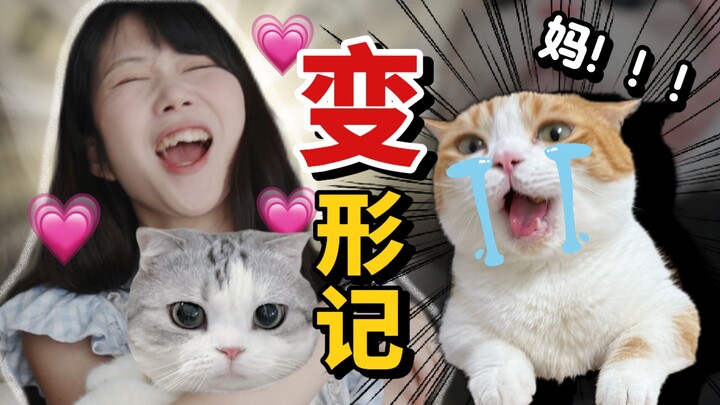 100 Hewan Peliharaan Paling Imut "Transformasi", Tantangan Pertukaran Kucing: Tiga Kucing VS Puff!