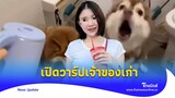 เปิดวาร์ป สาวท้องเจ้าของเก่า ‘ไซบีเรียน’ โปรไฟล์ไม่ธรรมดา|Thainews - ไทยนิวส์|Update-16-JJ