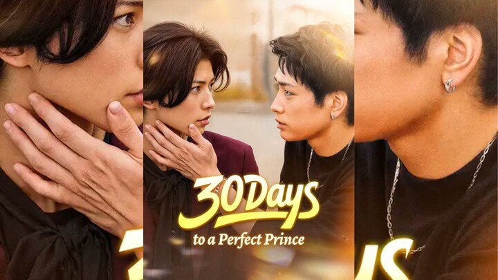 30 Days to a Perfect Prince Full Bahasa Indonesia (DW)