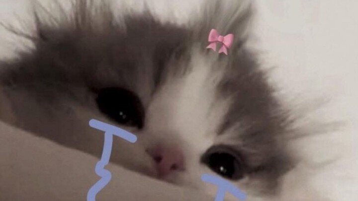 Cách làm slime bằng đất sét tự khô^^