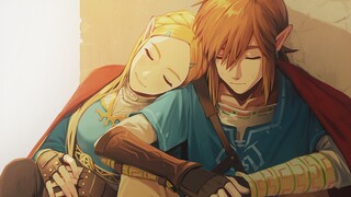 [The Legend of Zelda: Breath of the Wild] [plot to GMV] Link: I always remember