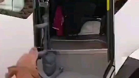 Anjing yang setiap hari tepat waktu menjemput tuannya, benar-benar sangat sopan lho