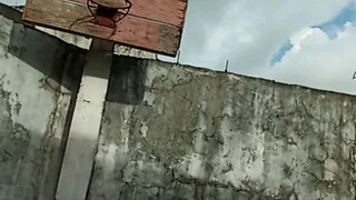 #MEME QUÁ LỢI HẠI