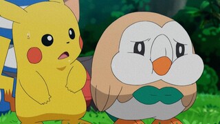 [Pokémon] Ai có thể chống lại một Pokémon đang ngủ?