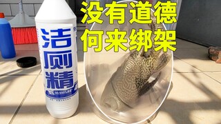 Người dọn dẹp bơi trong nước tẩy bồn cầu, sẽ thế nào đây? Chỉ cần tôi không có đạo đức, các người ch