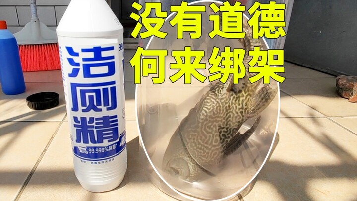 Apa jadinya jika tukang bersih-bersih berenang di dalam pembersih toilet? Selama aku tidak punya mor