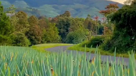 pemandangan gunung Sangat indah