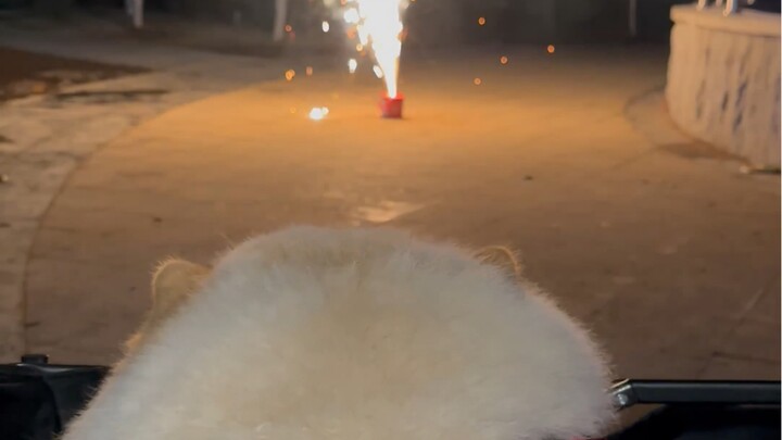 Once this fireworks show ends, the New Year is officially over.