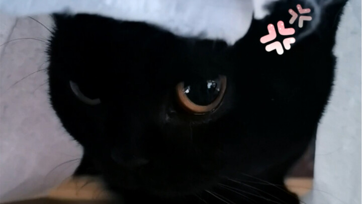 Saya cuma mau nanya pelan-pelan: Bagaimana caranya dia bisa main bola sendirian, tapi terasa seperti