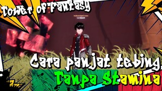 TIPS NAIK TEBING TANPA MENGURANGI STAMINA | TOWER OF FANTASY