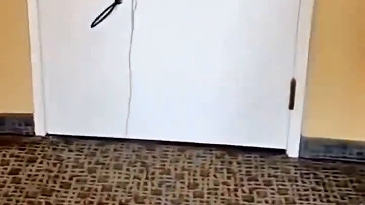 [Yayayoupai] The video is loading, check it out quickly for surprises!