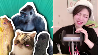 صوت المضغ المثير للاشمئزاز لحبوب بيبي ذات النكهات المختلفة