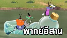 อ๊อกกี้กับแก๊งแมลงสาบ พากย์อีสาน ตอน เดินเรือ