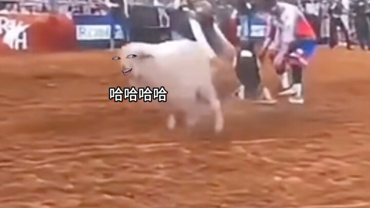 Sheep: Say goodnight to the world.