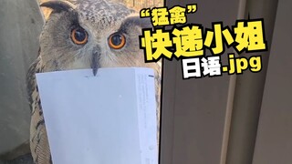 《画风突变の"猛禽"快递》