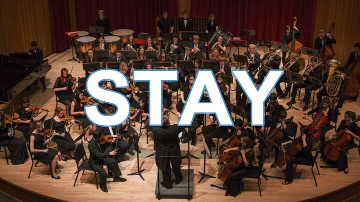 Golden Hall Symphony Performance [STAY] (Forcing True)