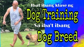 Iba’t ibang klase ng Dog training sa iba’t ibang klase ng Dog breed