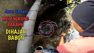 SENENGNYAA.. Ketika Joran Melengkung Tajam DI HAJAR BABON!!