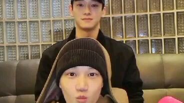 Exo xexo